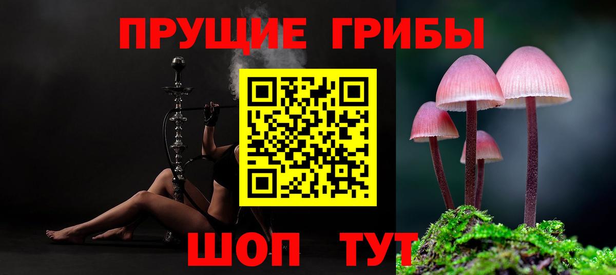 Псилоцибиновые грибы мухоморы  Псилоцибиновые грибы MAGIC MUSHROOMS  Вход с VPN  Алушта 
